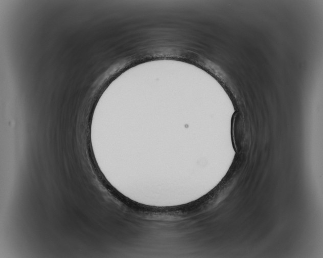 X0000083070625200703022157