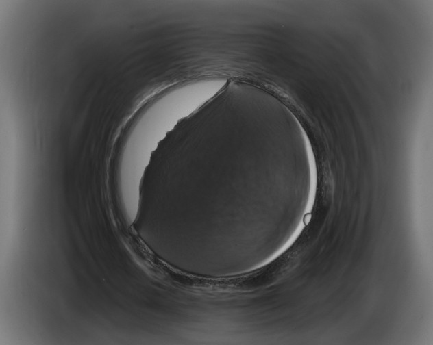 X0000083070626200703022157