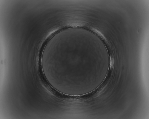 X0000083070627200703022157