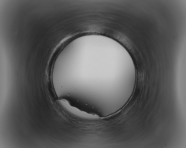 X0000083070628200703022157