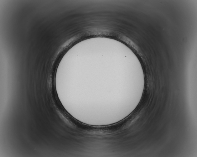 X0000083070629200703022157