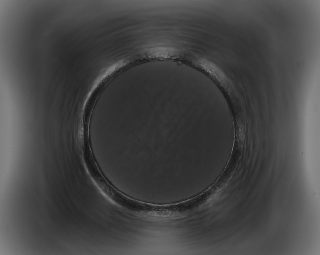 X0000083070630200703022157