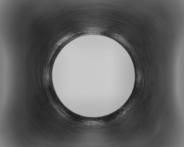 X0000083070632200703022157