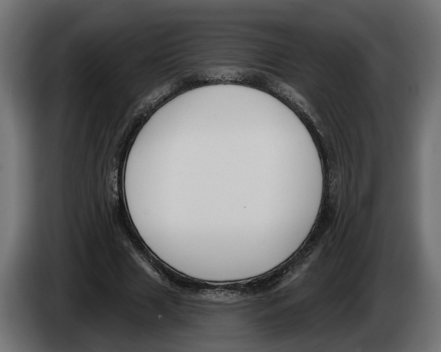 X0000083070633200703022157