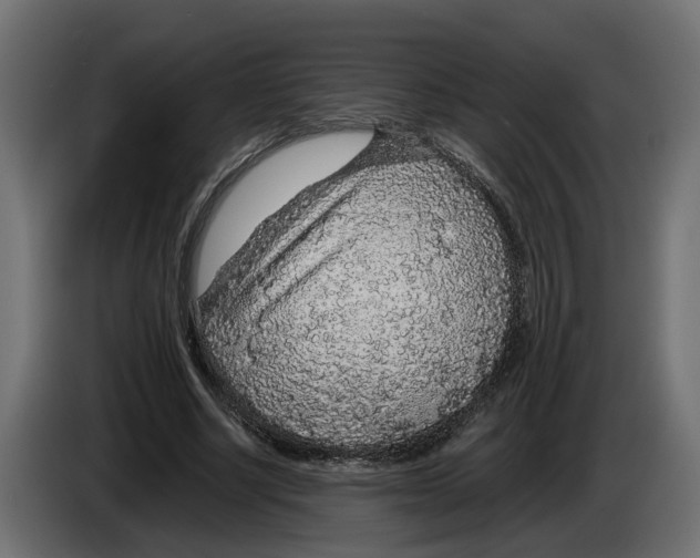 X0000083070634200703022157