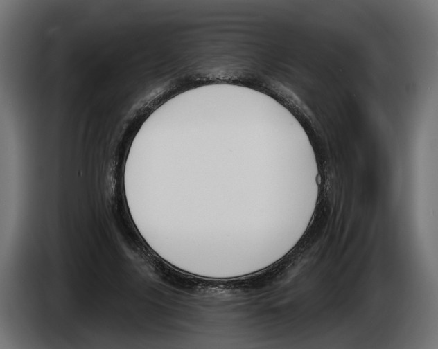 X0000083070635200703022157