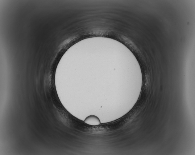 X0000083070636200703022157