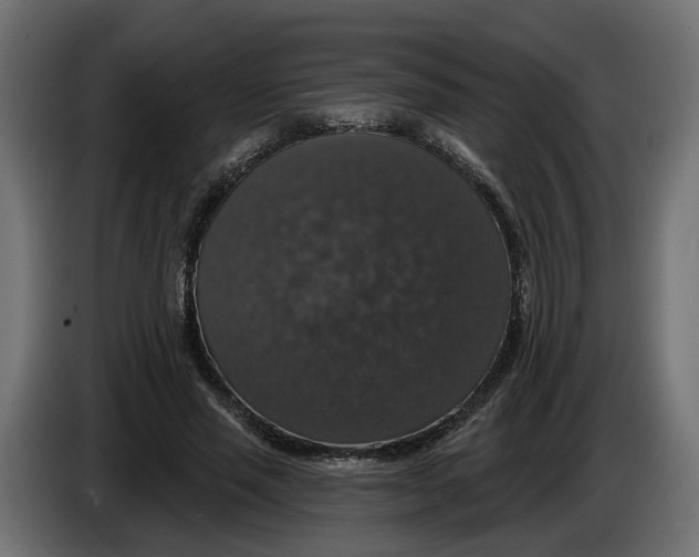 X0000083070637200703022157