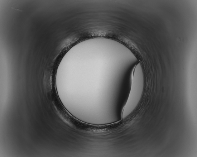 X0000083070638200703022157