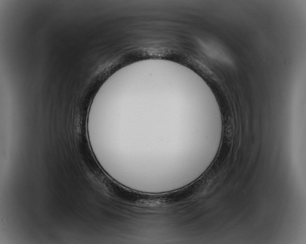 X0000083070639200703022157