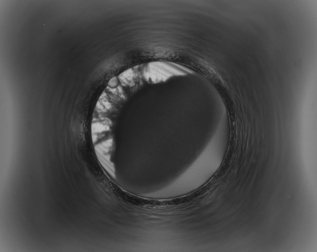 X0000083070643200703022157