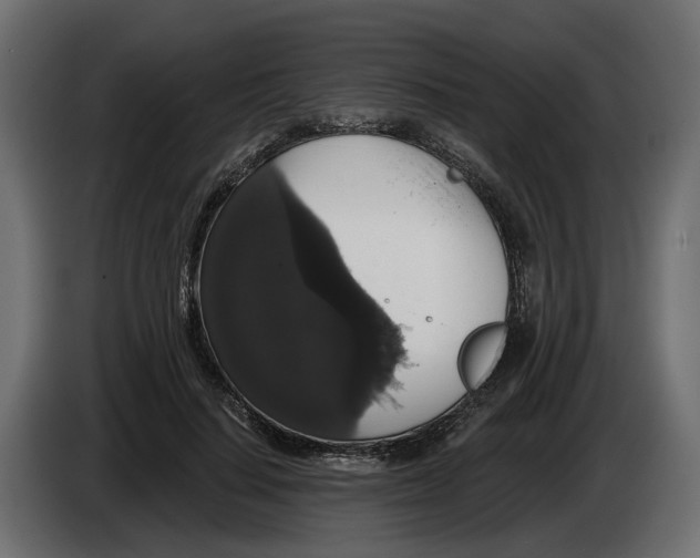 X0000083070644200703022157