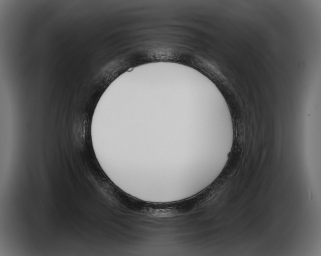 X0000083070645200703022157