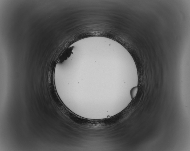 X0000083070646200703022157