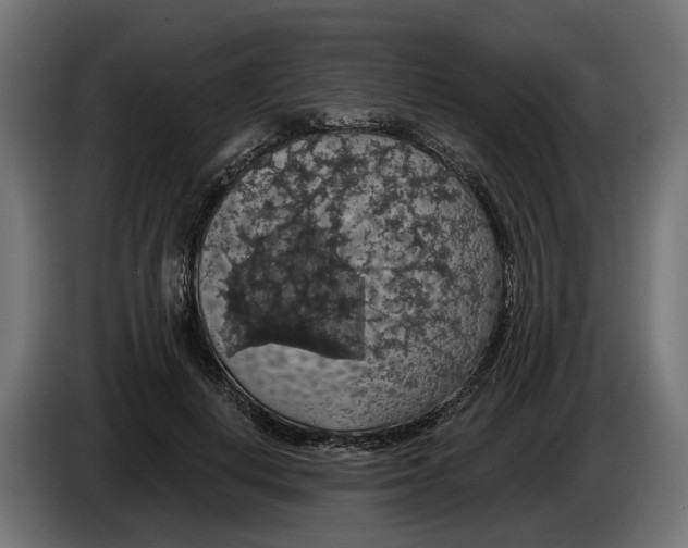 X0000083070648200703022157