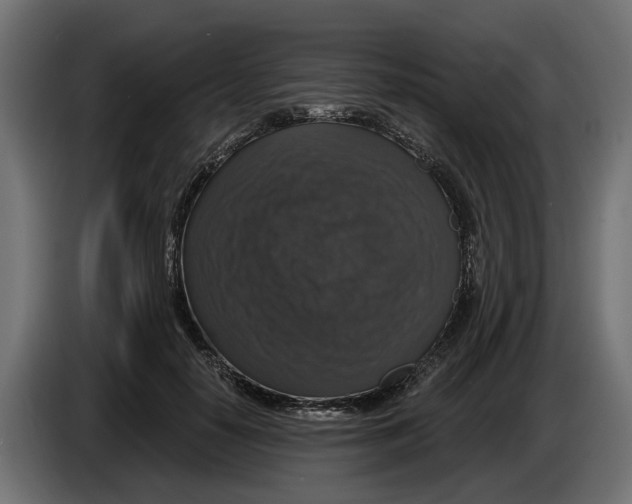 X0000083070650200703022157