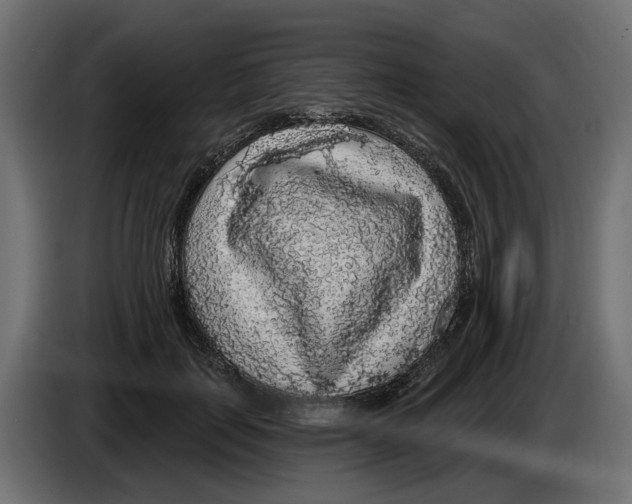 X0000083070651200703022157