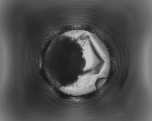 X0000083070654200703022157