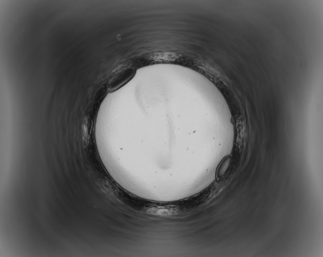 X0000083070655200703022157