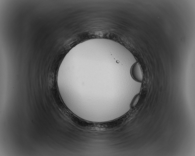 X0000083070656200703022157