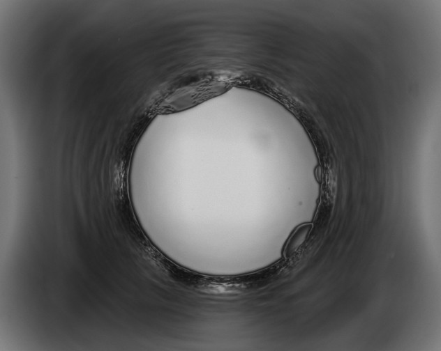 X0000083070657200703022157