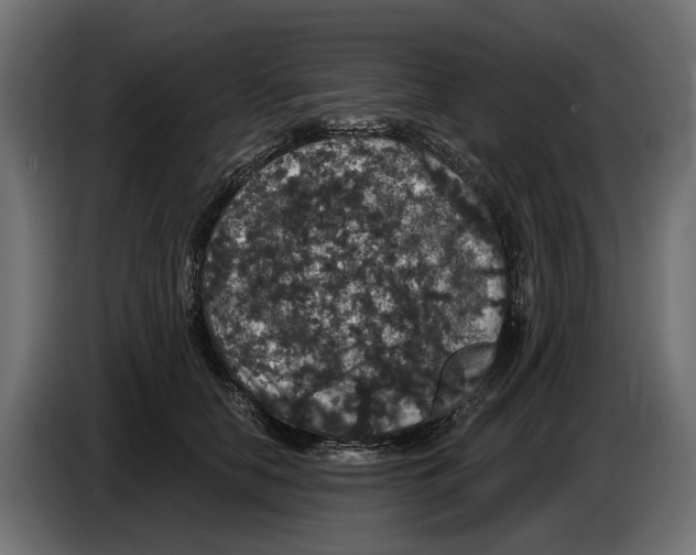 X0000083070658200703022157