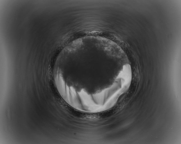 X0000083070659200703022157