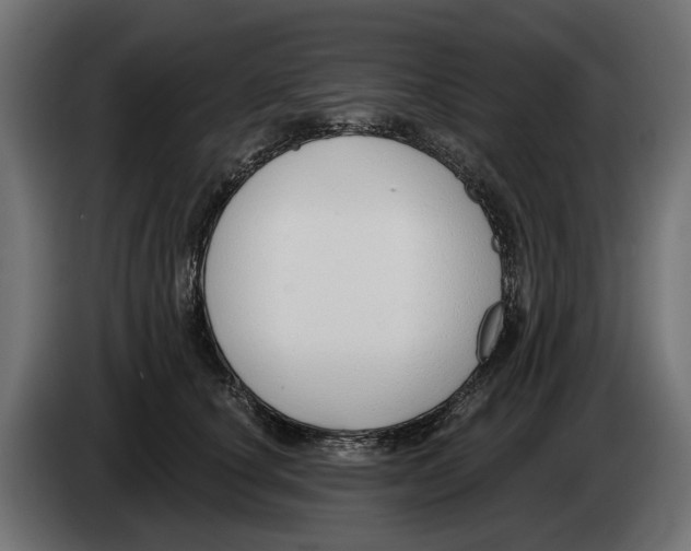 X0000083070660200703022157