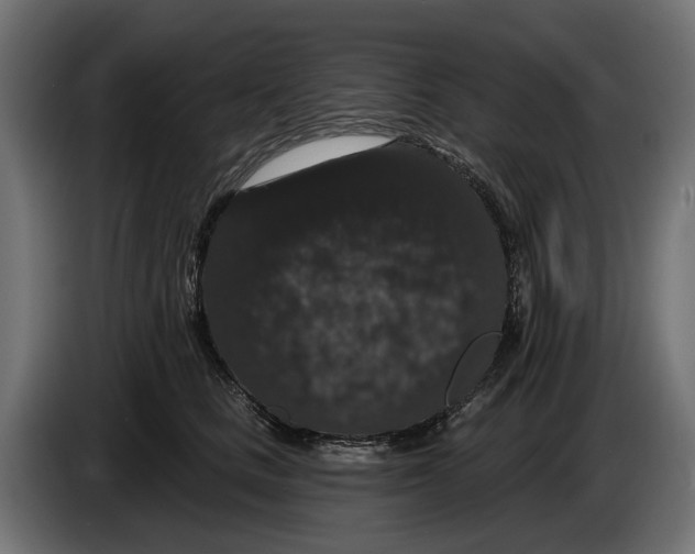 X0000083070661200703022157