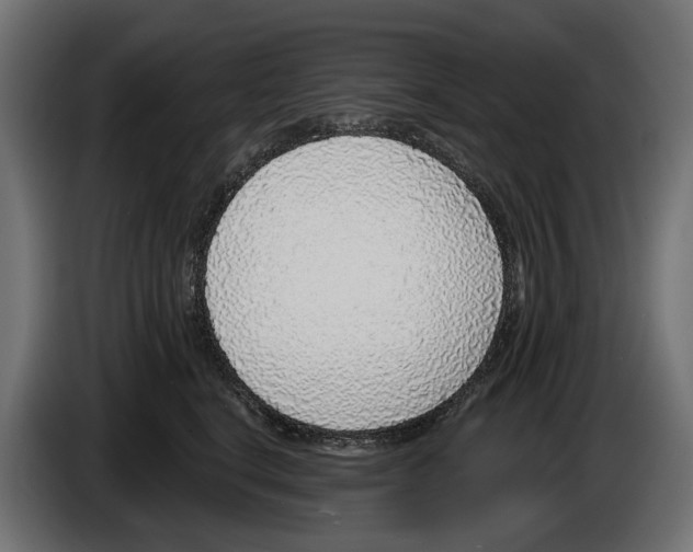 X0000083070664200703022158