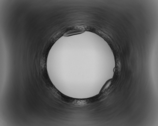 X0000083070665200703022158