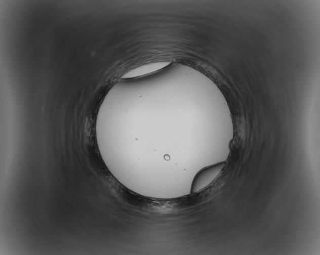 X0000083070667200703022158