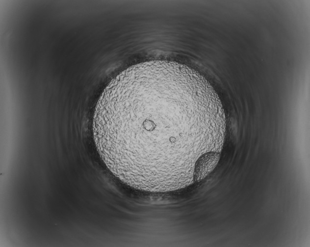 X0000083070668200703022158