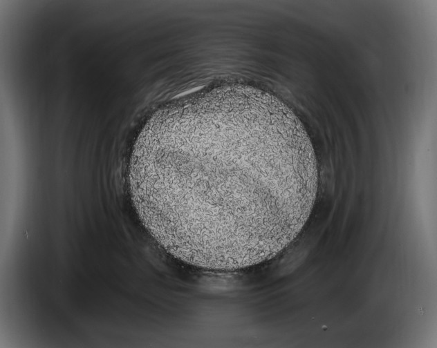 X0000083070671200703022158