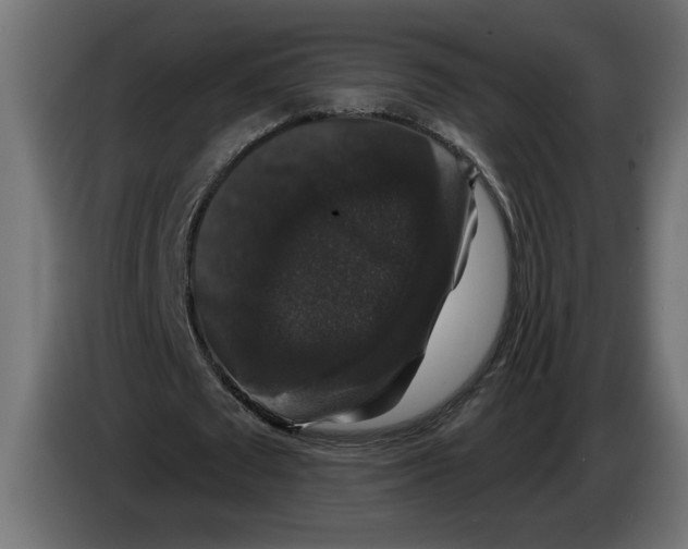 X0000083070673200703022157