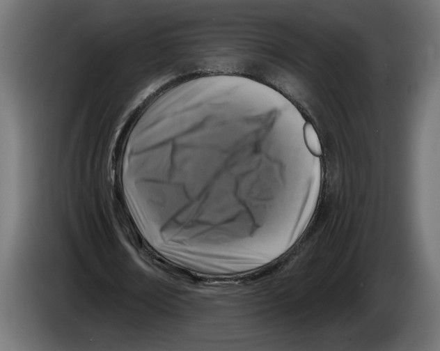 X0000083070674200703022157