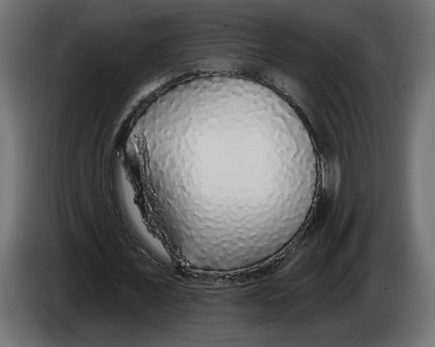 X0000083070675200703022157