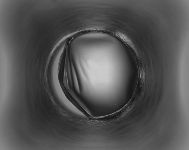 X0000083070676200703022157