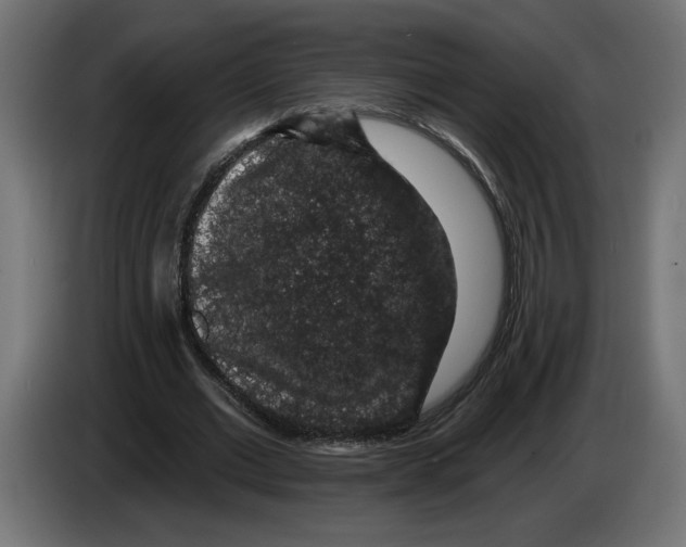 X0000083070677200703022157