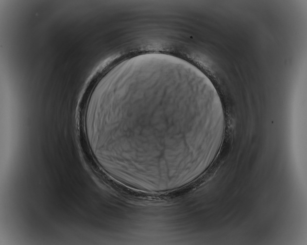 X0000083070678200703022157