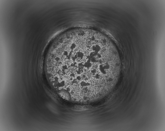 X0000083070679200703022157