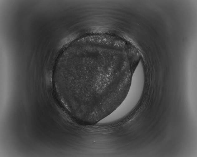 X0000083070681200703022157