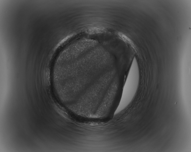 X0000083070684200703022157