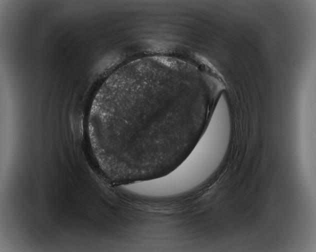 X0000083070685200703022157