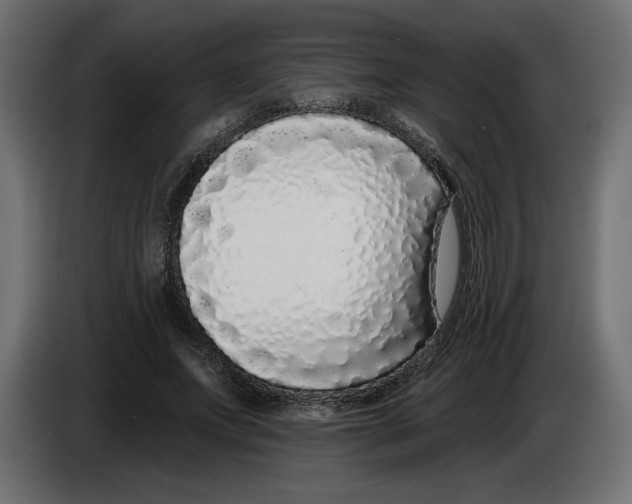 X0000083070687200703022157