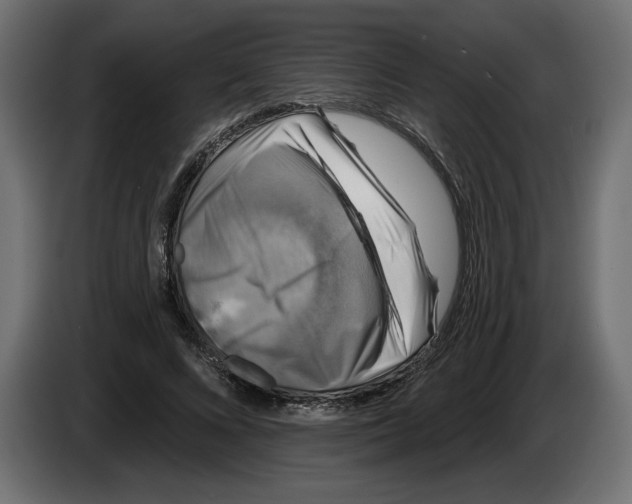 X0000083070688200703022157