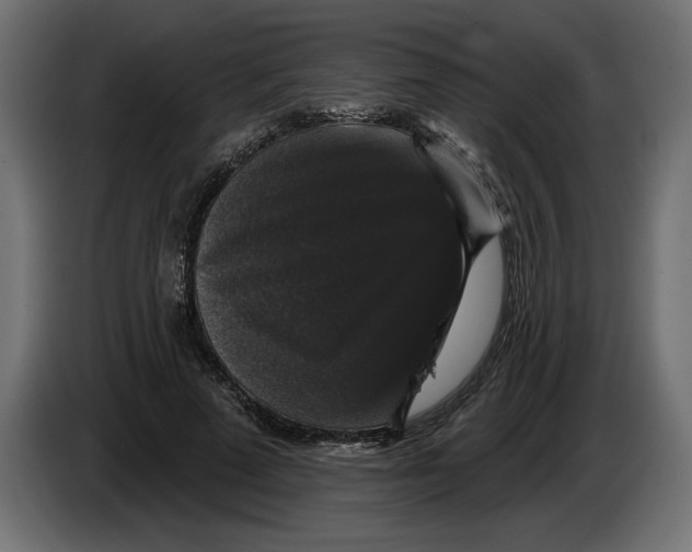 X0000083070689200703022157