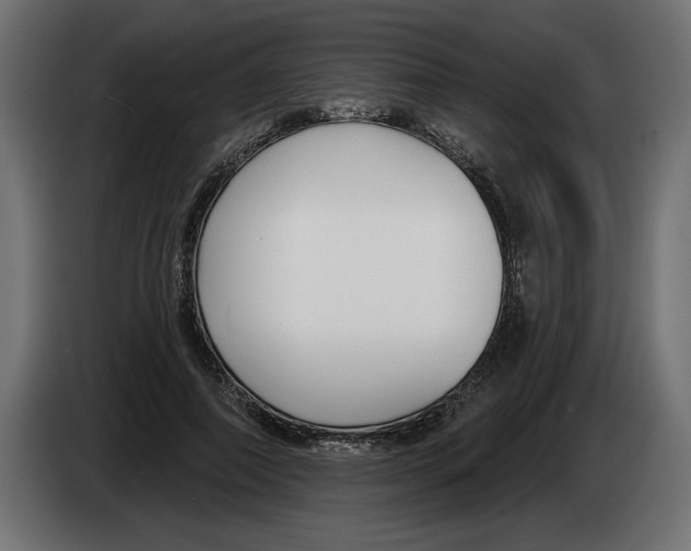 X0000083070690200703022157