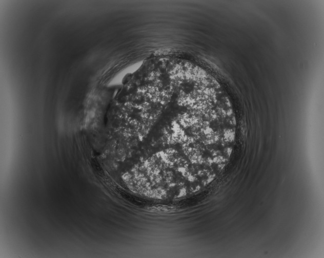 X0000083070691200703022157