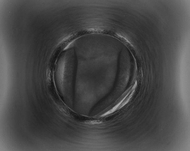 X0000083070692200703022157